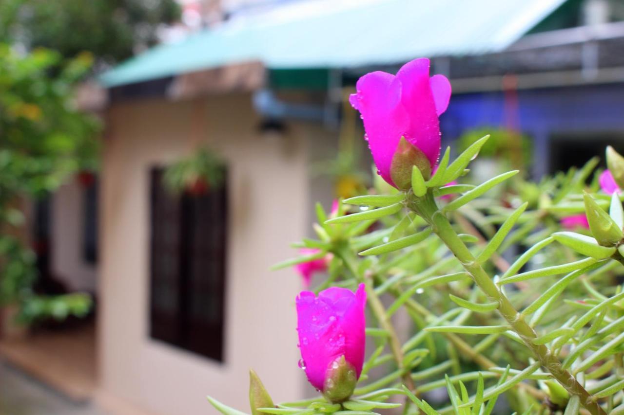 Homestay Minh Tu Hue Exteriér fotografie